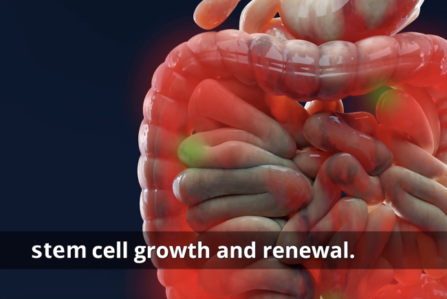 Breaking News: A Groundbreaking Solution Has Been Found for Crohn’s and Colitis Patients