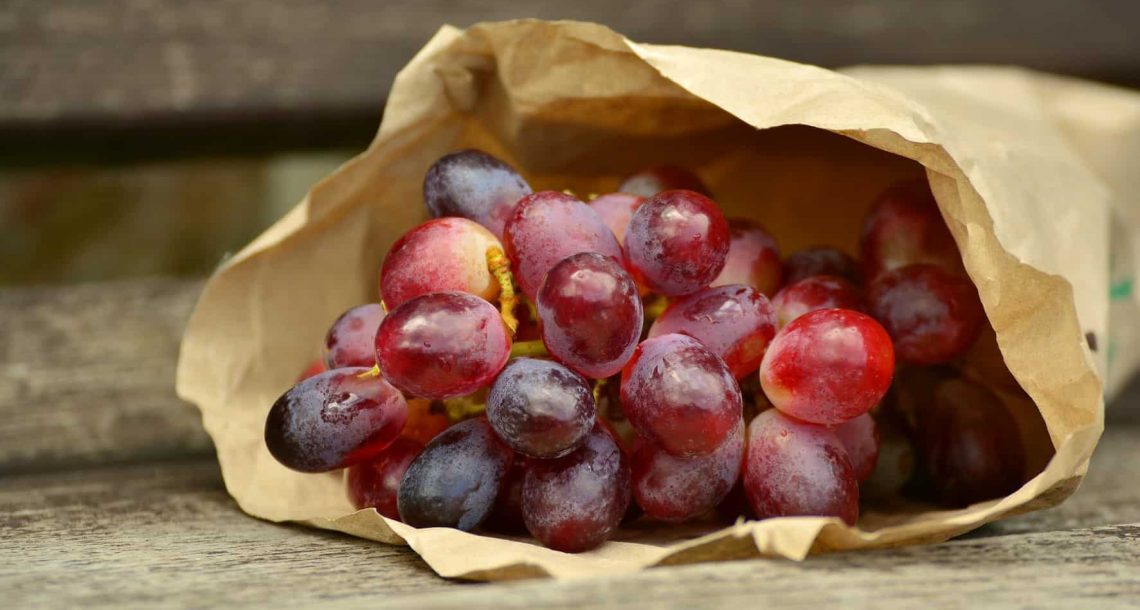 Outside the Bottle Thinking: This New Superfood Could Change the World